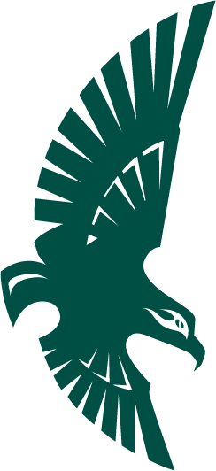 NC-Wilmington Seahawks 1992-2014 Secondary Logo iron on transfers for clothing